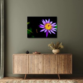 Obraz kvetu (70x50 cm)