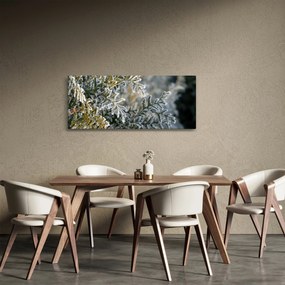 Obraz - Detail vetvy (120x50 cm)