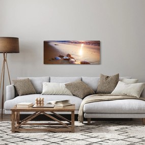 Obraz - Mušle (120x50 cm)
