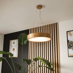 Brilagi - LED Luster na lanku CARVALHO 3xE27/60W/230V dub pr. 47,5 cm
