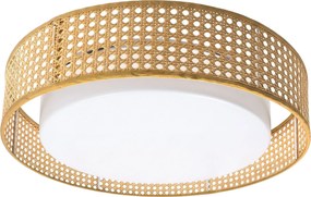 Toolight Toolight, LED stropné svietidlo plafón s ratanovým tienidlom 4000K, APP1934-C, biela-ratan, 50 cm, OSW-66090