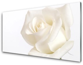 Obraz plexi Ruže kvety 100x50 cm