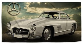Sablio Uterák Mercedes-Benz 300 SL Na ceste - 30x50 cm
