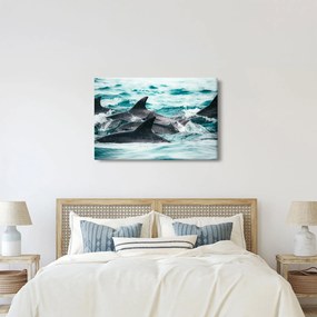 Obraz - Delfíny v oceáne (90x60 cm)