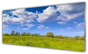 Obraz plexi Lúka tráva nebo krajina 125x50 cm