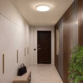 Stropné LED svietidlo Vigo, 1x LED 36w, 4000k, (fi 48cm), w
