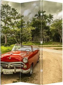 Paraván - Auto veterán v prírode (126x170 cm)