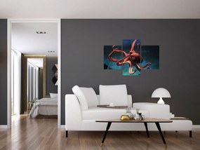 Obraz - Chobotnica (90x60 cm)