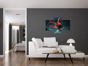 Obraz - Chobotnica (90x60 cm)
