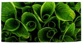 Sablio Uterák Zelené listy - 50x100 cm