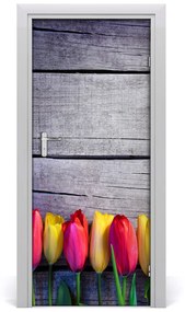 Samolepiace fototapety na dvere farebné tulipány 75x205 cm