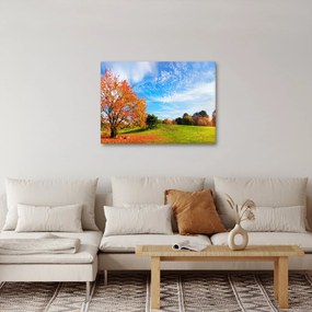 Obraz - Jesenná krajina (70x50 cm)