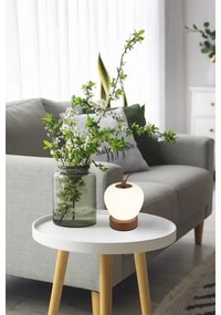 Globo 21011 - LED Stmievateľná stolná lampa EVALINA LED/2W/3,7V