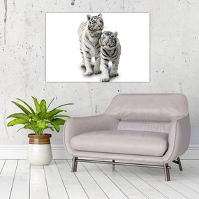 Obraz - Biely tiger (90x60 cm)