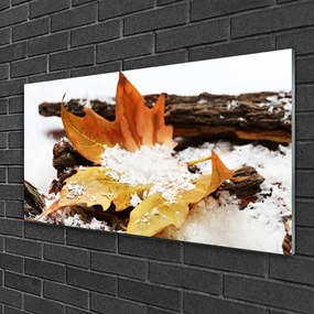 Skleneny obraz List les jeseň príroda 125x50 cm