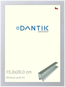 DANTIK rám na obraz 15x20 | ALU Stříbrná matná (Sklo Čiré)