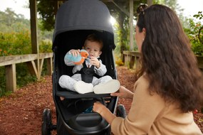Baby Jogger BabyJogger CITY ELITE 2 - STONE GREY