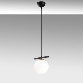 Üzüm - 6261