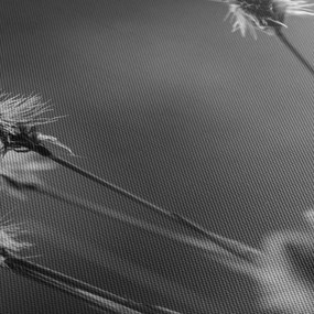 Obraz - Béžová soft grass N⁰2 (120x50 cm)