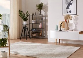 Koberec Ragolle Argentum 63846 6575