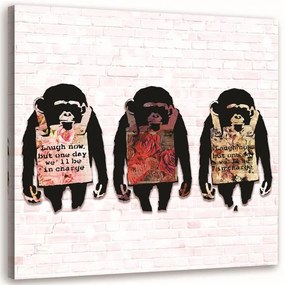 Obraz na plátně Banksyho barevný s opicí - 60x60 cm