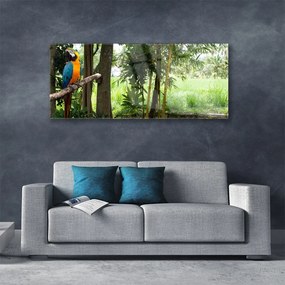 Obraz plexi Papagáj stromy príroda 125x50 cm