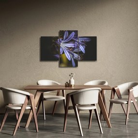 Obraz - Lila (90x60 cm)