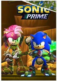Detské obliečky Ježko Sonic  Sonic a Amy Rose 140x200/70x90 cm