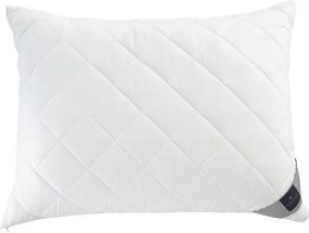 XXXLutz VANKÚŠ POD HLAVU, 40/80 cm Billerbeck - Prikrývky & vankúše - 003279065002