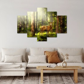 Obraz jeleňa v lese (150x105 cm)