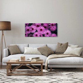 Obraz ružových kvetov (120x50 cm)