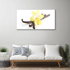 Skleneny obraz Vanilka rastlina príroda 140x70 cm