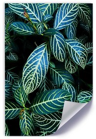 Gario Plagát Šťavnaté zelené listy Farba rámu: Bez rámu, Veľkosť: 20 x 30 cm