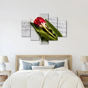 Obraz červeného tulipánu (150x105 cm)