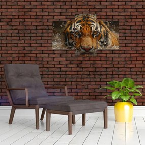 Obraz - Portrét tigra vo vode (90x60 cm)