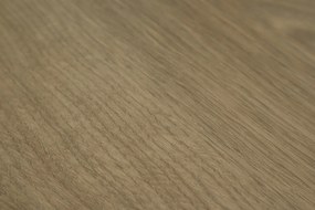 IVC Commercial, PVC podlaha - lino Logitex Ultimate 55 Elias T47, na mieru, šíře 2m,4m, hnedá, filc, chodba / predsieň