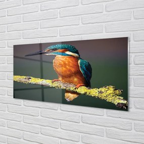 Nástenný panel  Farebný vták na vetve 120x60 cm