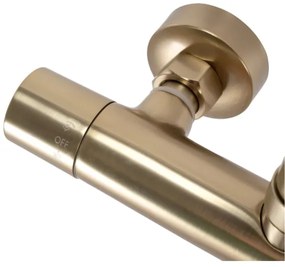 REA-P2323 - Sprchová súprava s termostatickou batériou PAROT brúsené zlato