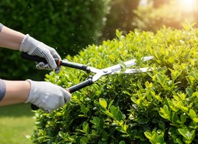 Garden Line 54 CM NOŽNICE NA ŽIVÝ PLOT