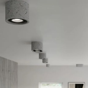 Stropné svietidlo BASIC AR111 1xGU10/40W/230V betón