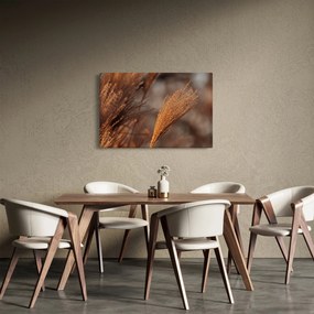 Obraz - Kortadéria (90x60 cm)