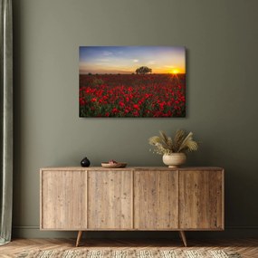 Obraz lúky s vlčími makmi (90x60 cm)