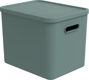 Rotho Úložný box, rovný s víkem, 27l, matně zelená ALBU LIGHT, 37x29x30