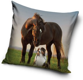 Carbotex DETSKÁ DEKORAČNÁ OBLIEČKA NA VANKÚŠ HORSE2 40X40 CM VZOROVANÁ