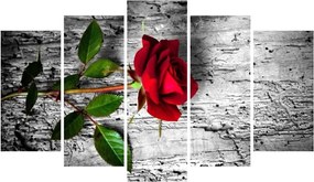 Viacdielny obraz Insigne Qolio, 102 × 60 cm