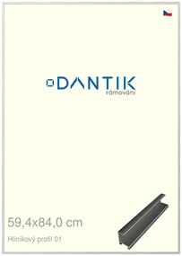 DANTIK rám na obraz 59,4x84 | ALU Stříbrná lesklá (Plexi Čiré)