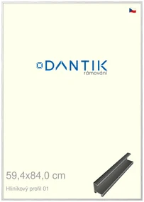 DANTIK rám na obraz 59,4x84 | ALU Stříbrná lesklá (Plexi Čiré)