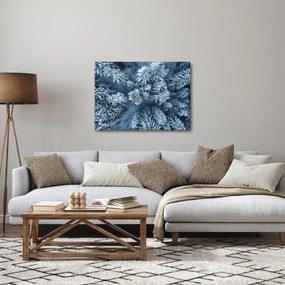 Obraz - Zasnežený les (70x50 cm)