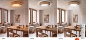 BRILAGI - LED stmievateľné stropné svietidlo veľké SMD 36W/230V 3000-6000K pr. 55 cm béžová WT + diaľkové ovládanie