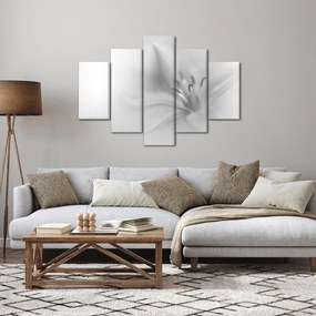 Obraz - Jemná ľalia (150x105 cm)